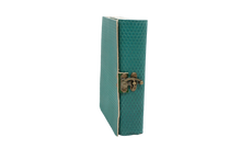 Ladda upp bild till gallerivisning, Handgjord läderbok- Grön drakfjäll
