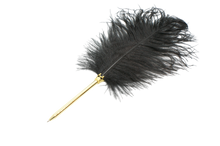 Ladda upp bild till gallerivisning, Fjäderpenna -Svart -Kulspets