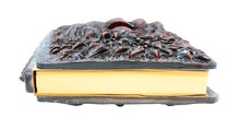 Ladda upp bild till gallerivisning, Drakbok med hård pärm - Röd