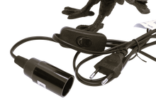 Ladda upp bild till gallerivisning, Korp Lampa