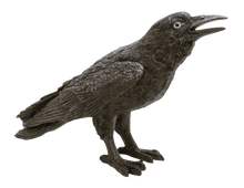 Ladda upp bild till gallerivisning, Korp Lampa