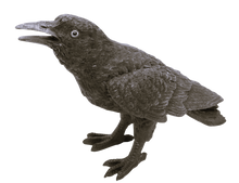 Ladda upp bild till gallerivisning, Korp Lampa