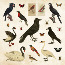 Ladda upp bild till gallerivisning, Mystical Ephermera - Sticker Book
