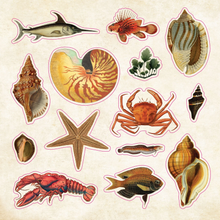 Ladda upp bild till gallerivisning, The Sticker Book of Curiosities
