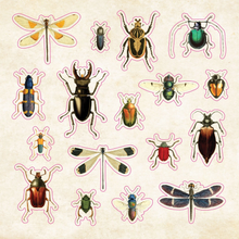 Ladda upp bild till gallerivisning, The Sticker Book of Curiosities
