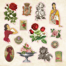 Ladda upp bild till gallerivisning, The Sticker Book of Curiosities
