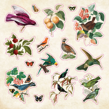 Ladda upp bild till gallerivisning, The Sticker Book of Curiosities
